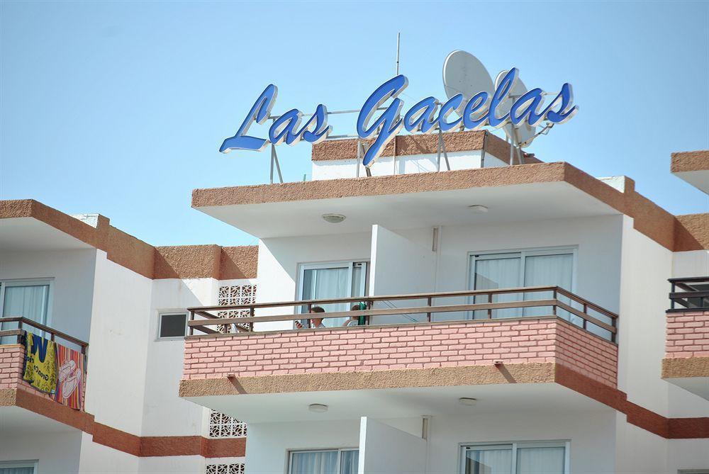 eó Las Gacelas Playa del Inglés Exterior foto